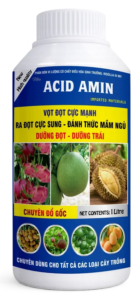 Rissolla III My Acid Amin