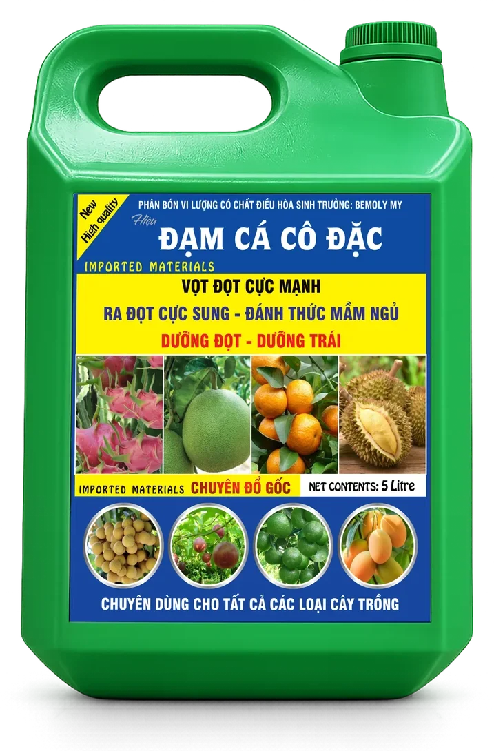 Bemoly My Đạm Cá Cô Đặc