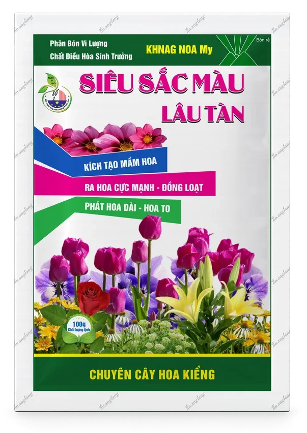 Khnag Noa My Siêu Sắc Màu – Lâu Tàn