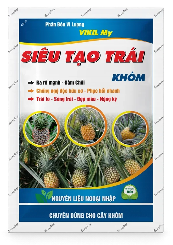 Vikil My Siêu Tạo Trái Khóm