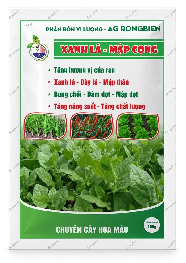 AG Rong Biển Xanh Lá – Mập Cọng