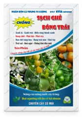 KTL7 KFIA Japanag Sạch Ghẻ – Bóng Trái